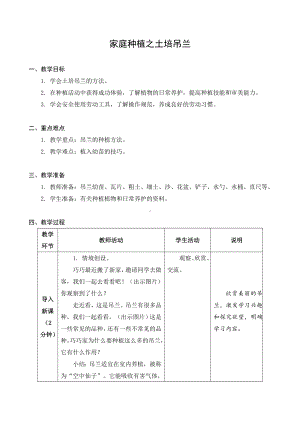 金坛区苏科版六年级上册劳动《05土培吊兰》教案.docx