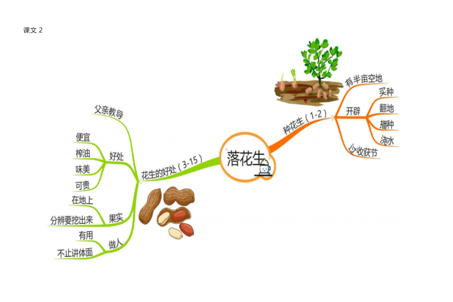 绿的思维导图图片