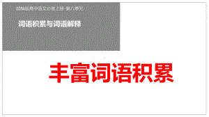 《丰富词语积累》ppt课件15张-统编版高中语文必修上册.pptx