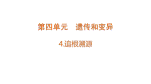 4.4 追根溯源（含练习）ppt课件-2022新大象版六年级上册《科学》.pptx