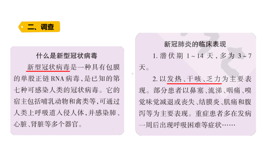 1.5 疫情与防护（含练习）ppt课件-2022新大象版六年级上册《科学》.pptx_第3页