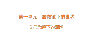 1.1 显微镜下的细胞（含练习）ppt课件-2022新大象版六年级上册《科学》.pptx