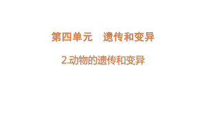 4.2 动物的遗传和变异（含练习）ppt课件-2022新大象版六年级上册《科学》.pptx