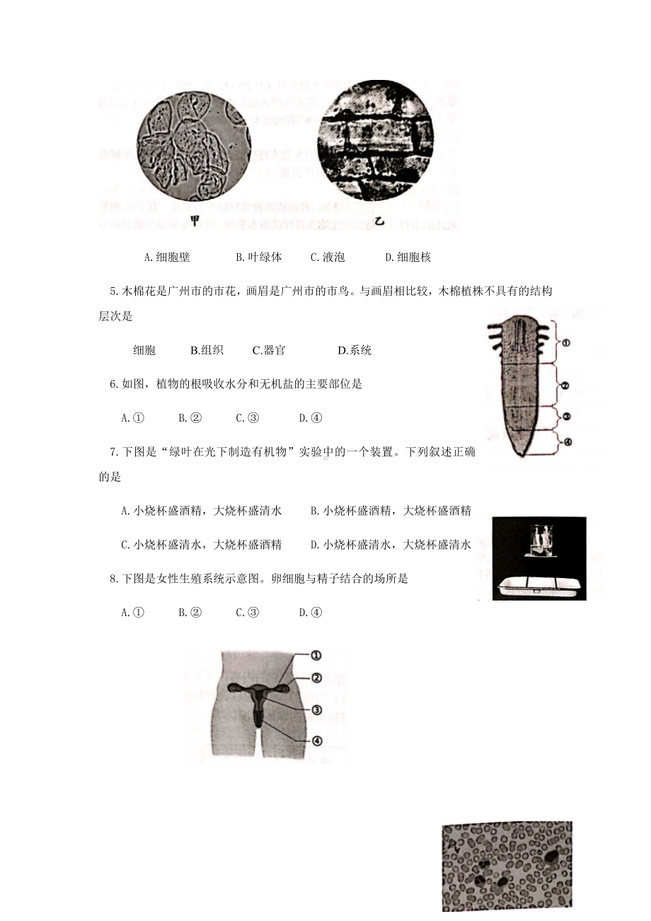 2021年广东省广州市初中学业水平考试生物试题（含答案）.docx_第2页