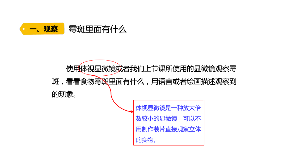 1.3 发霉的馒头（含练习）ppt课件-2022新大象版六年级上册《科学》.pptx_第3页