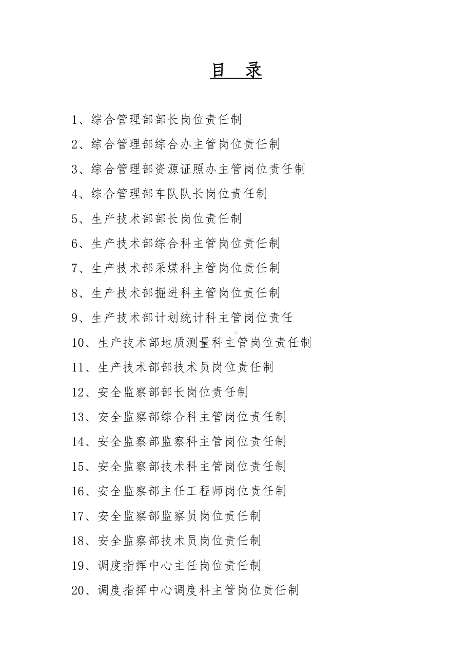 煤业公司各级人员岗位责任制参考模板范本.doc_第1页