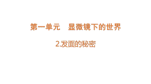 1.2 发面的秘密（含练习）ppt课件-2022新大象版六年级上册《科学》.pptx