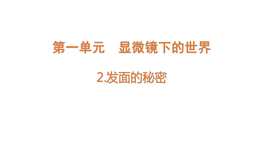 1.2 发面的秘密（含练习）ppt课件-2022新大象版六年级上册《科学》.pptx_第1页