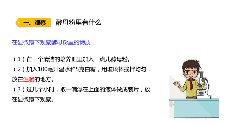 1.2 发面的秘密（含练习）ppt课件-2022新大象版六年级上册《科学》.pptx_第3页