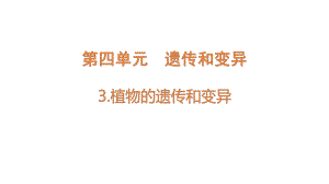 4.3 植物的遗传和变异（含练习）ppt课件-2022新大象版六年级上册《科学》.pptx