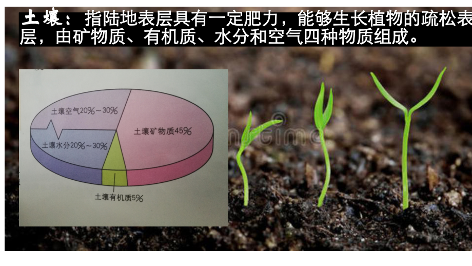 2022新人教版（2019）《高中地理》必修第一册2.6土壤的主要形成因素ppt课件.pptx_第3页