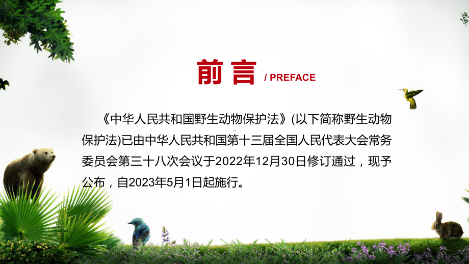 最新发布中华人民共和国野生动物保护法专题教学课件.pptx_第2页