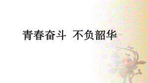 青春奋斗 不负韶华 ppt课件 2022秋高一主题班会.pptx