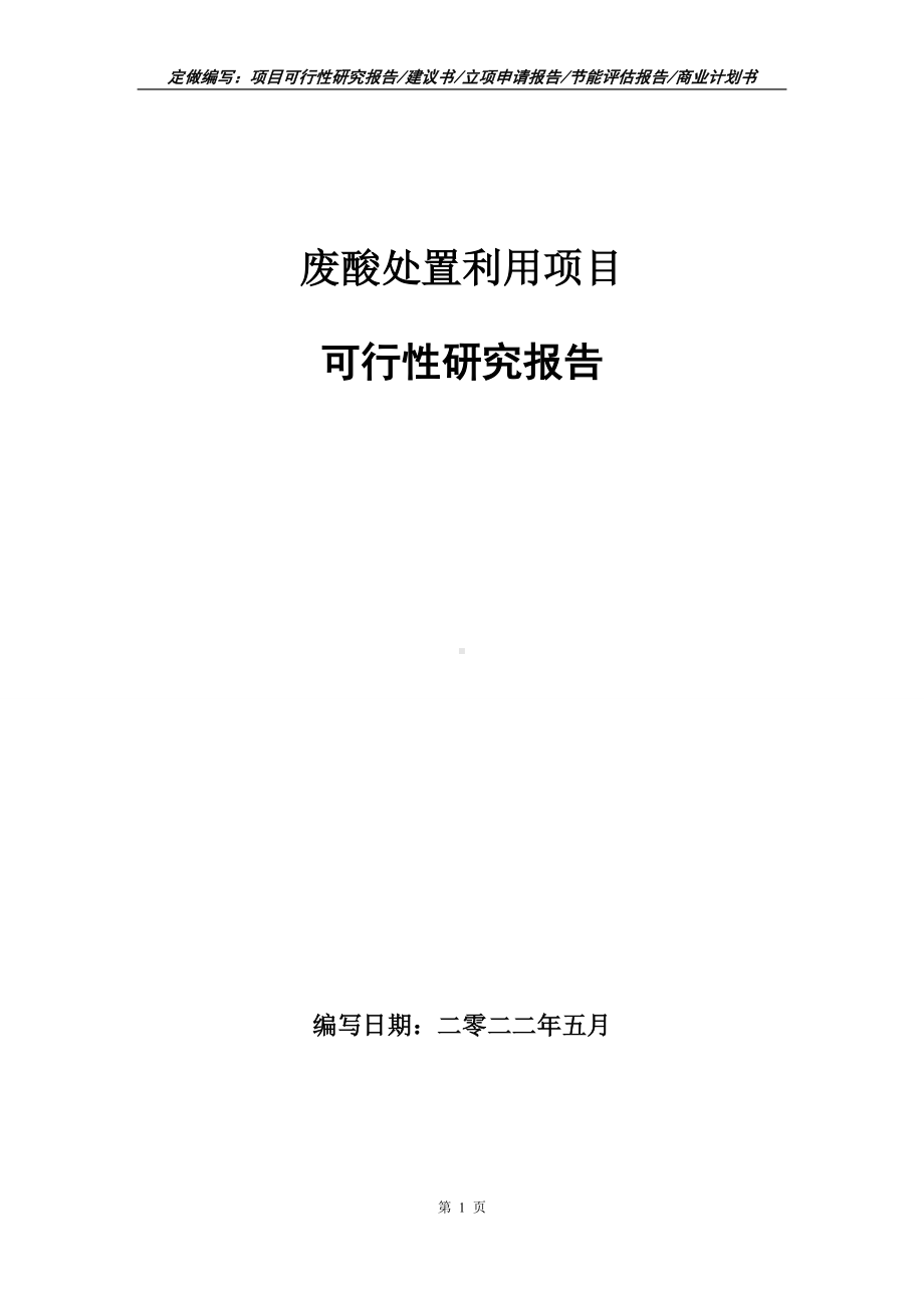 废酸处置利用项目可行性报告（写作模板）.doc_第1页