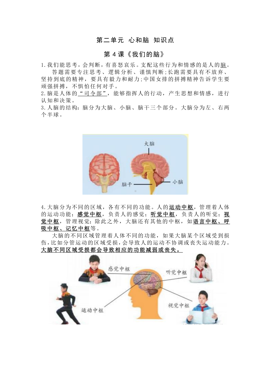 2023新青岛版（五四制）五年级下册《科学》 第二单元 心和脑 知识点.doc_第1页