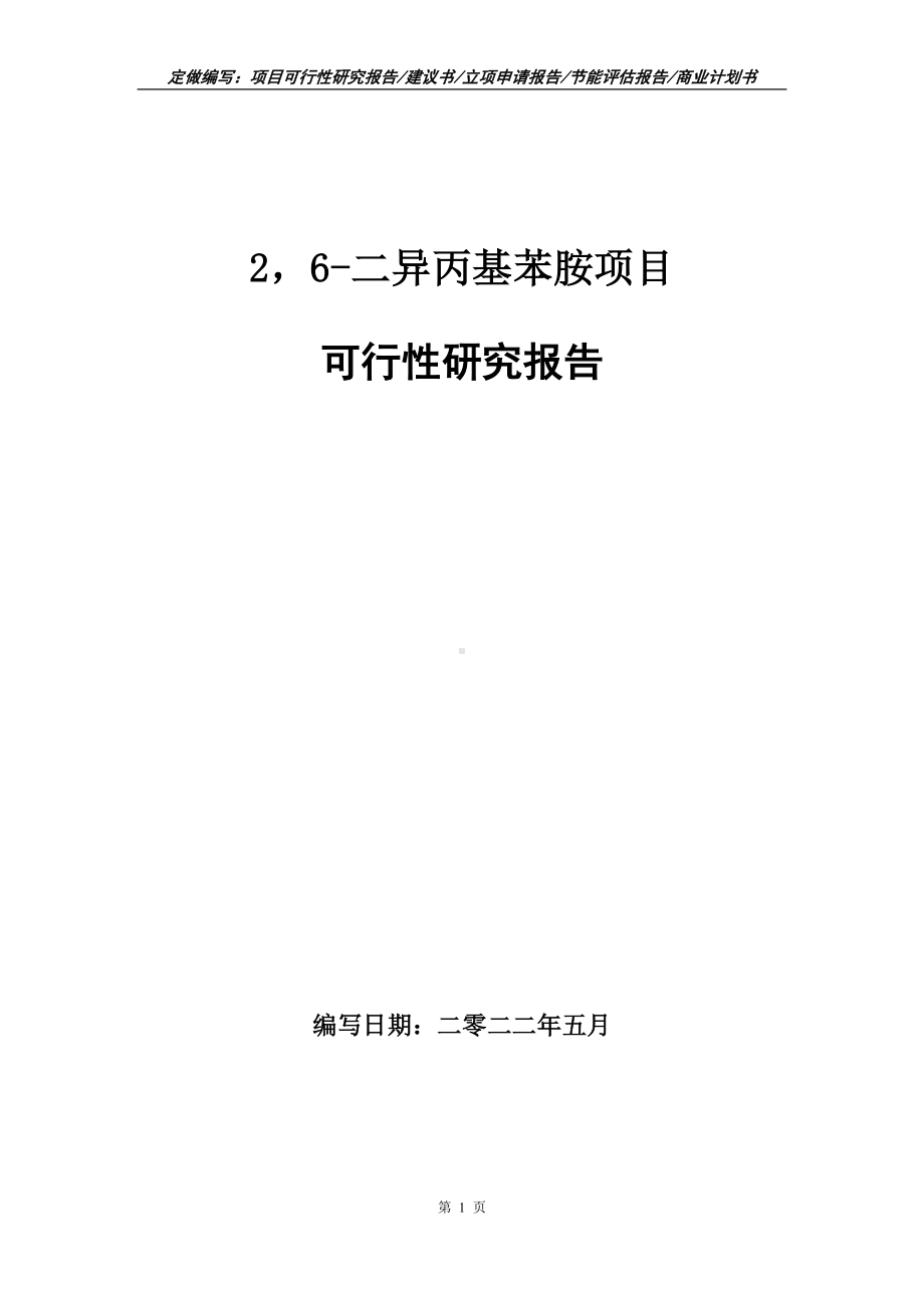 26-二异丙基苯胺项目可行性报告（写作模板）.doc_第1页