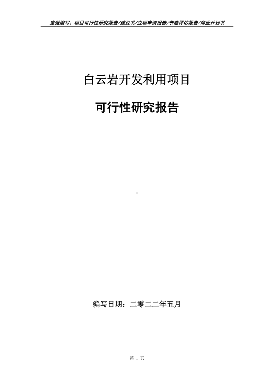 白云岩开发利用项目可行性报告（写作模板）.doc_第1页