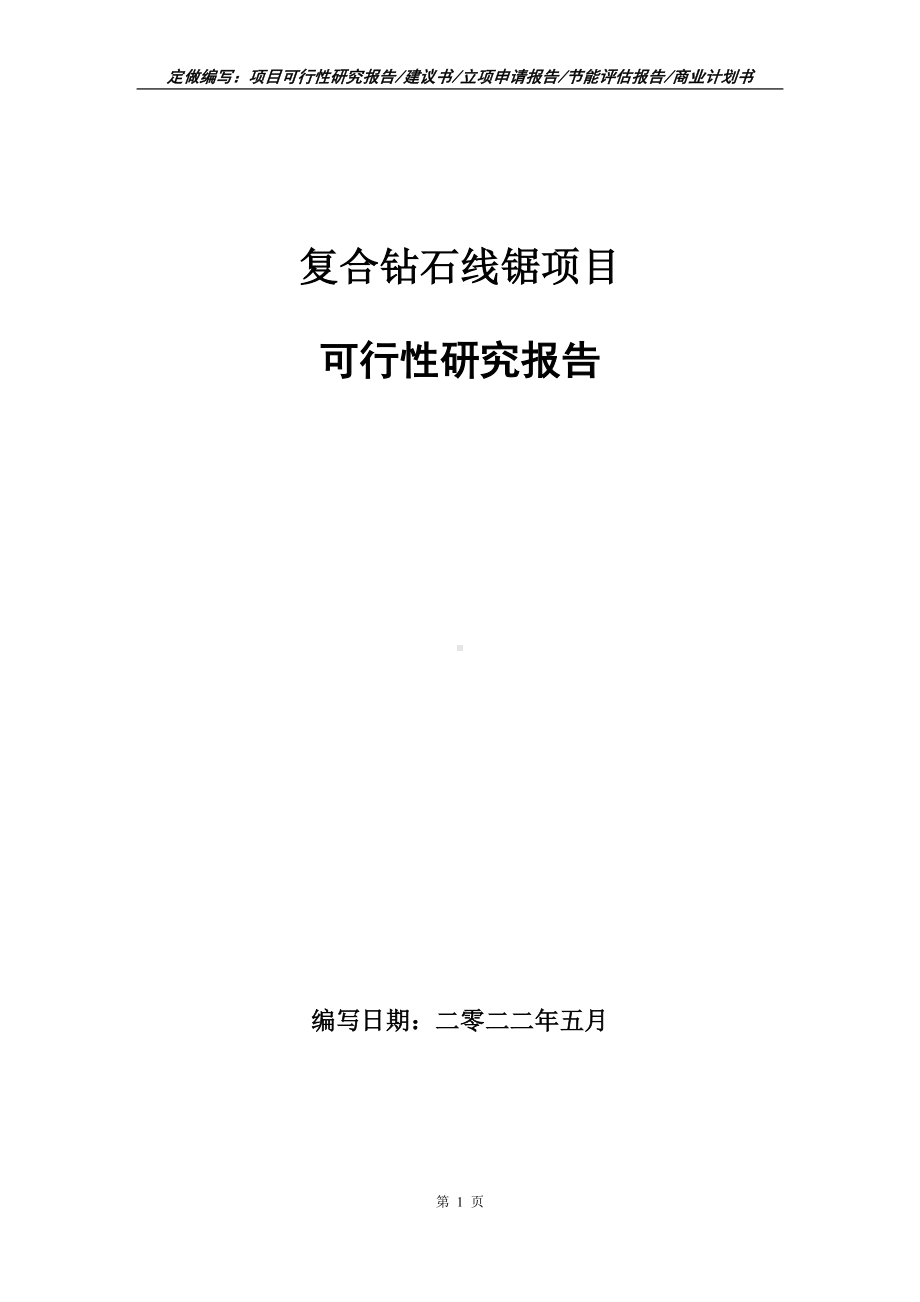 复合钻石线锯项目可行性报告（写作模板）.doc_第1页