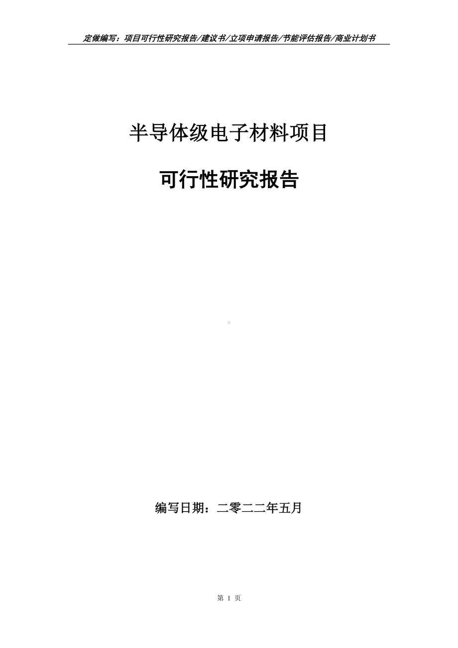 半导体级电子材料项目可行性报告（写作模板）.doc_第1页