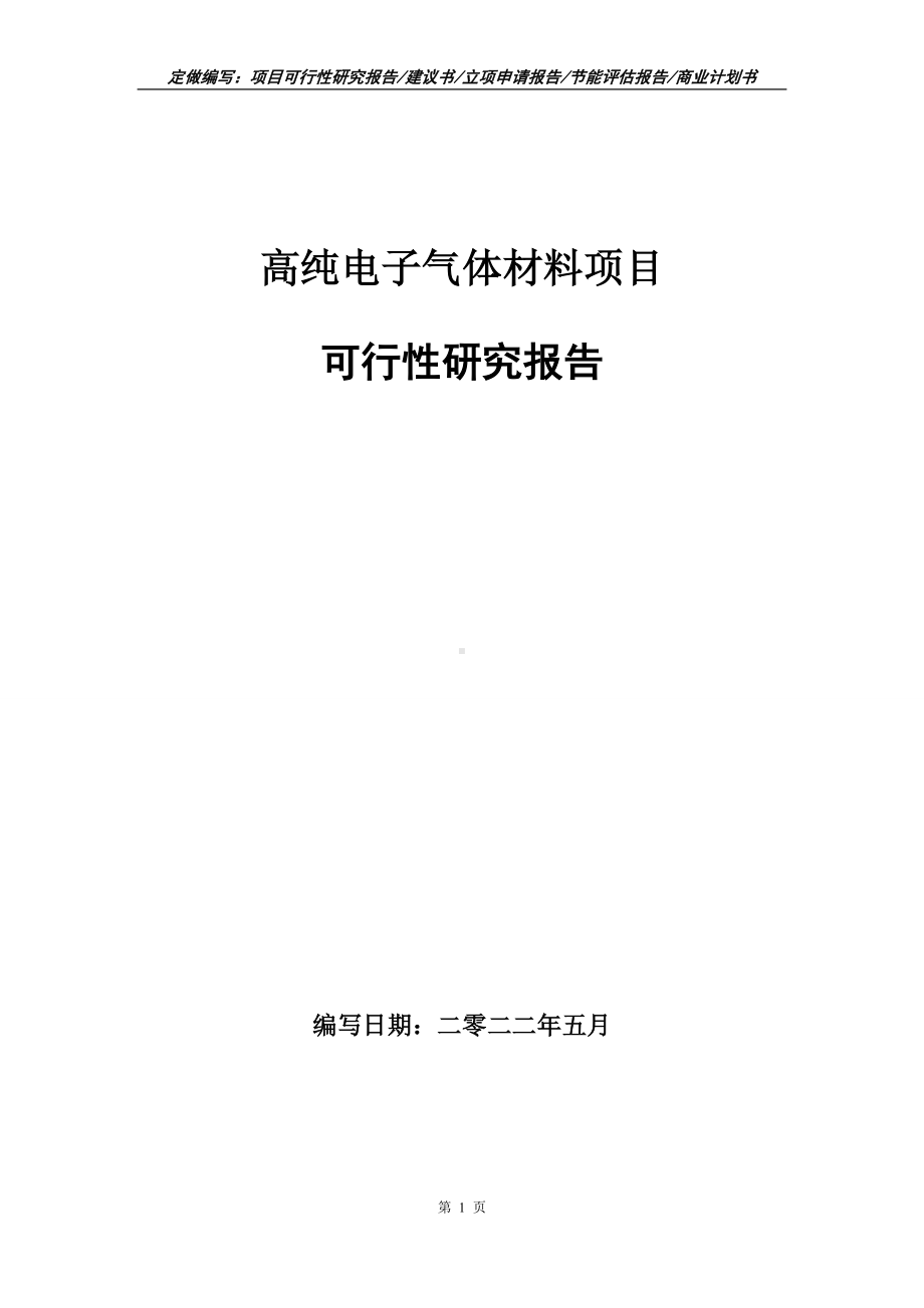 高纯电子气体材料项目可行性报告（写作模板）.doc_第1页