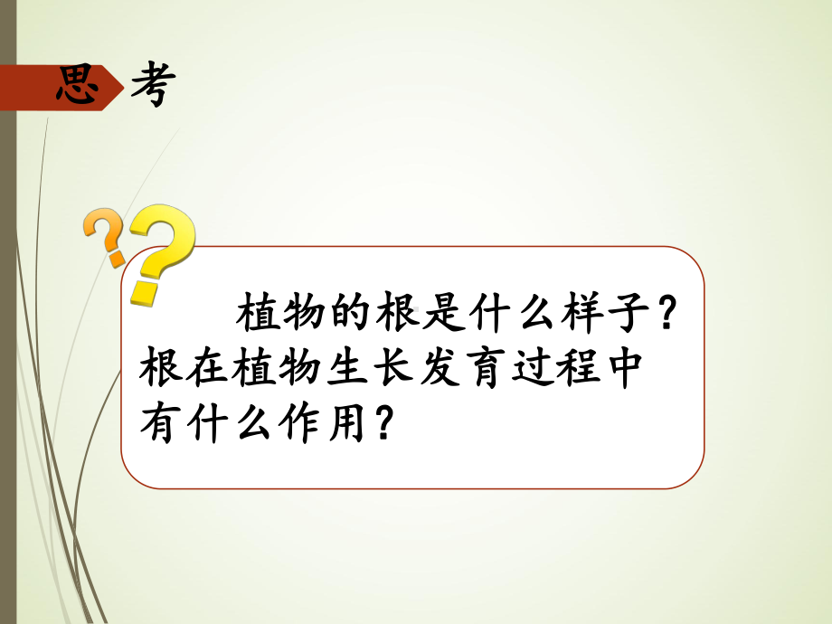 4.2根的奥秘ppt课件（15张PPT）-2023新湘科版三年级下册《科学》.ppt_第2页