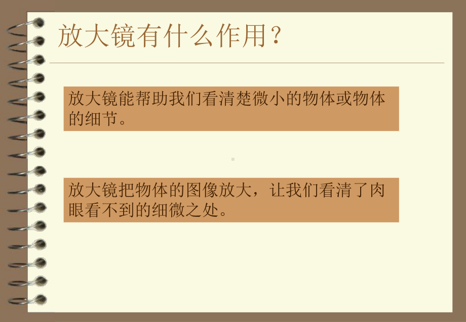 7放大镜下的生物 ppt课件-2023新粤教粤科版五年级下册《科学》.ppt_第3页