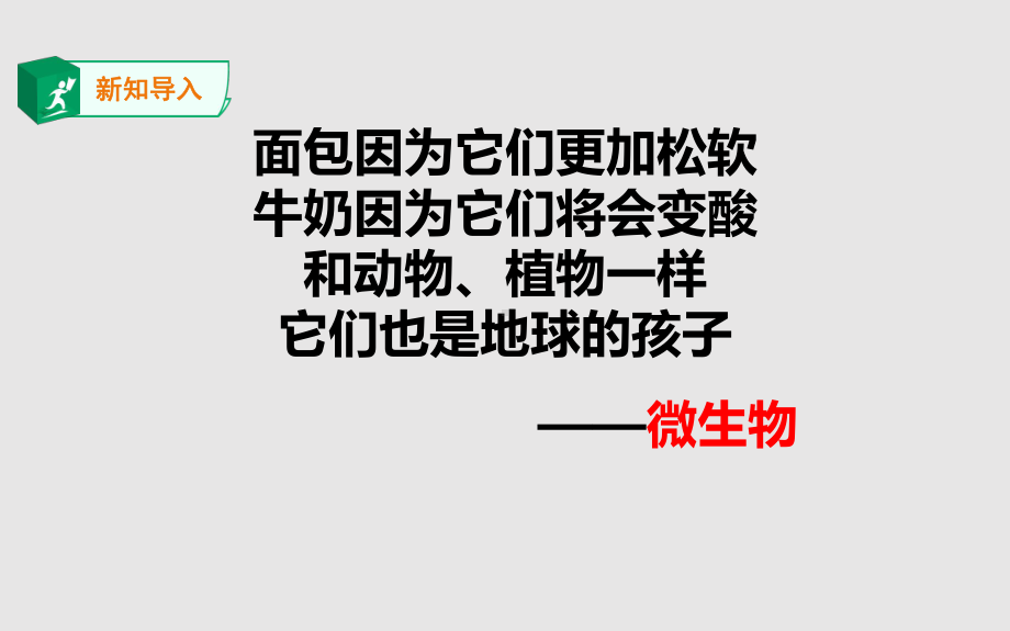 2.10微小的生命世界 ppt课件-2023新粤教粤科版五年级下册《科学》.ppt_第2页