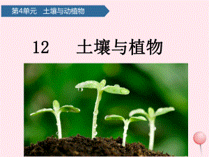 第四单元土壤与动植物12土壤与植物ppt课件-2023新青岛版（六三制）一年级下册《科学》.pptx