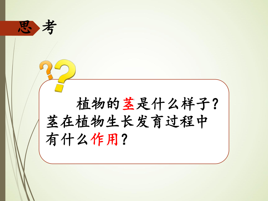 4.3茎的奇妙ppt课件（16张PPT）-2023新湘科版三年级下册《科学》.ppt_第2页