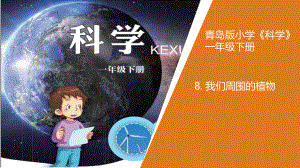 《8.我们周围的植物》（ppt课件12张ppt）-2023新青岛版（六三制）一年级下册《科学》.ppt