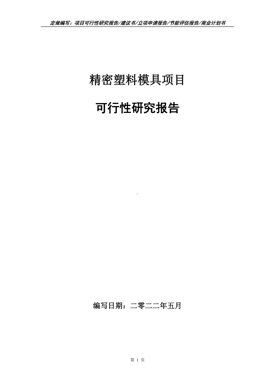 精密塑料模具项目可行性报告（写作模板）.doc_第1页