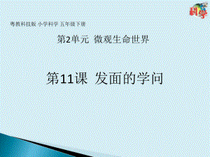 2.11 发面的学问（ppt课件共19张ppt）-2023新粤教粤科版五年级下册《科学》.pptx