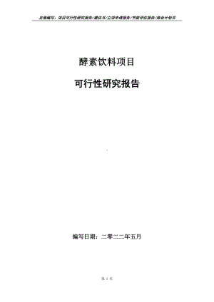 酵素饮料项目可行性报告（写作模板）.doc