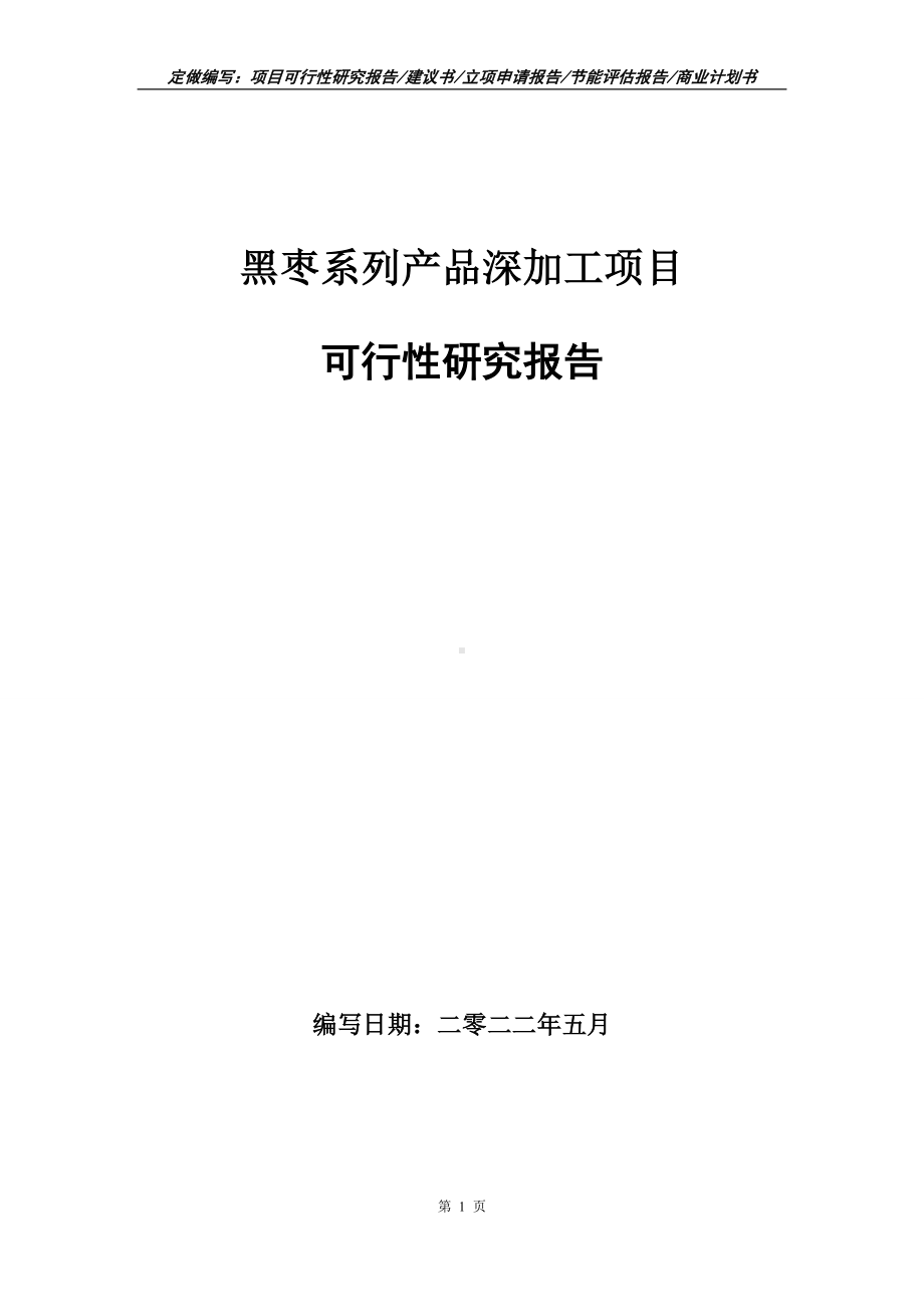 黑枣系列产品深加工项目可行性报告（写作模板）.doc_第1页