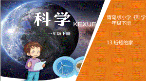 《13.蚯蚓的家》（ppt课件18张ppt）-2023新青岛版（六三制）一年级下册《科学》.pptx