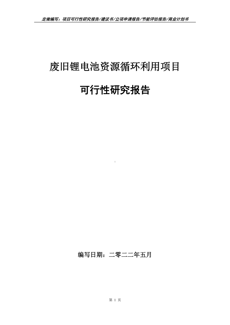 废旧锂电池资源循环利用项目可行性报告（写作模板）.doc_第1页