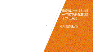 4.《常见的动物》 ppt课件-2023新青岛版（六三制）一年级下册《科学》.ppt