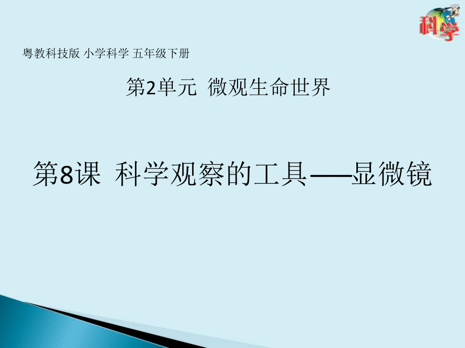 2.8科学观察的工具-显微镜 ppt课件-2023新粤教粤科版五年级下册《科学》.pptx_第1页