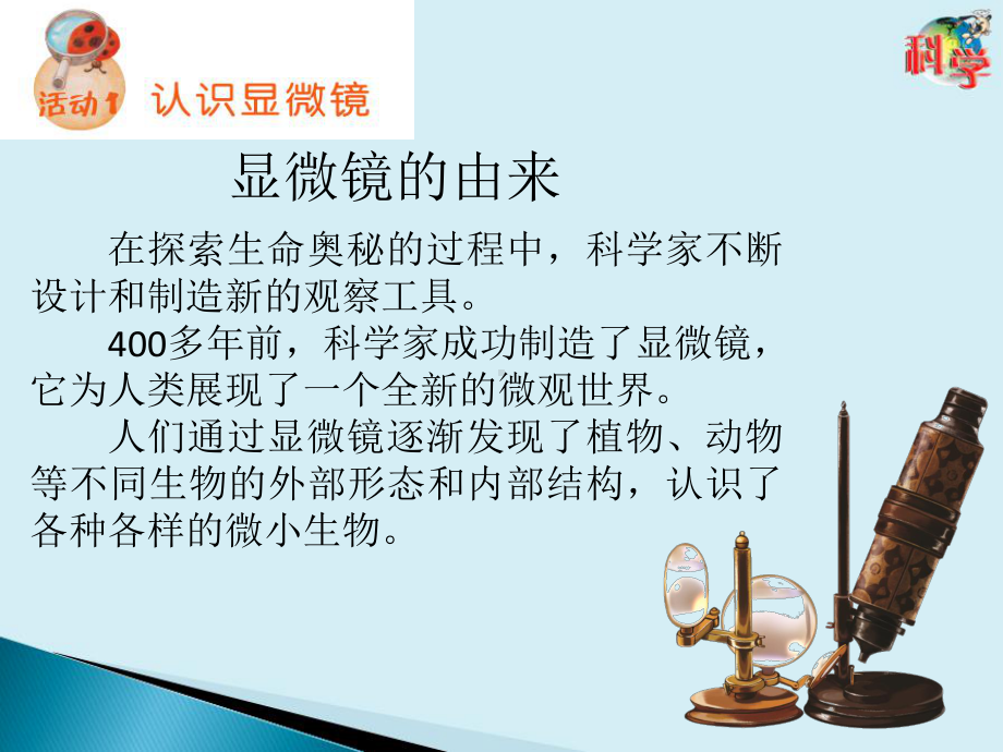 2.8科学观察的工具-显微镜 ppt课件-2023新粤教粤科版五年级下册《科学》.pptx_第3页