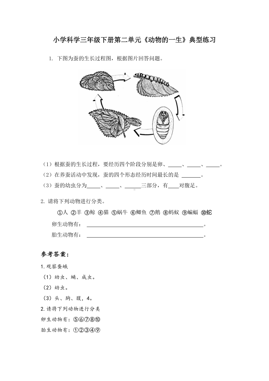 2023新教科版三年级下册《科学》第二单元 动物的一生 知识点总结（含实验和练习）.docx_第3页