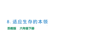 2.8《适应生存的本领》教学ppt课件-2023新苏教版六年级下册《科学》.pptx