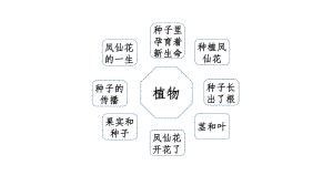 2023新教科版四年级下册《科学》第一单元 植物的生长变化复习讲解 ppt课件（22张PPT）.pptx