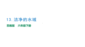 4.13《洁净的水域》教学ppt课件（16张PPT）-2023新苏教版六年级下册《科学》.pptx