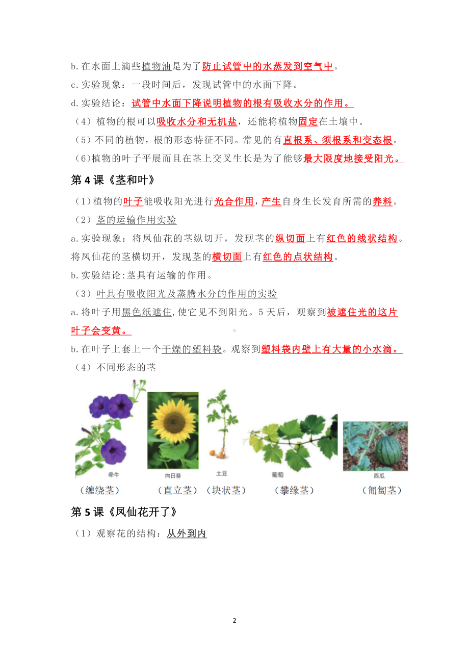 2023新教科版四年级下册《科学》第一单元《植物的生长变化》复习资料（知识点、实验和练习）.docx_第2页