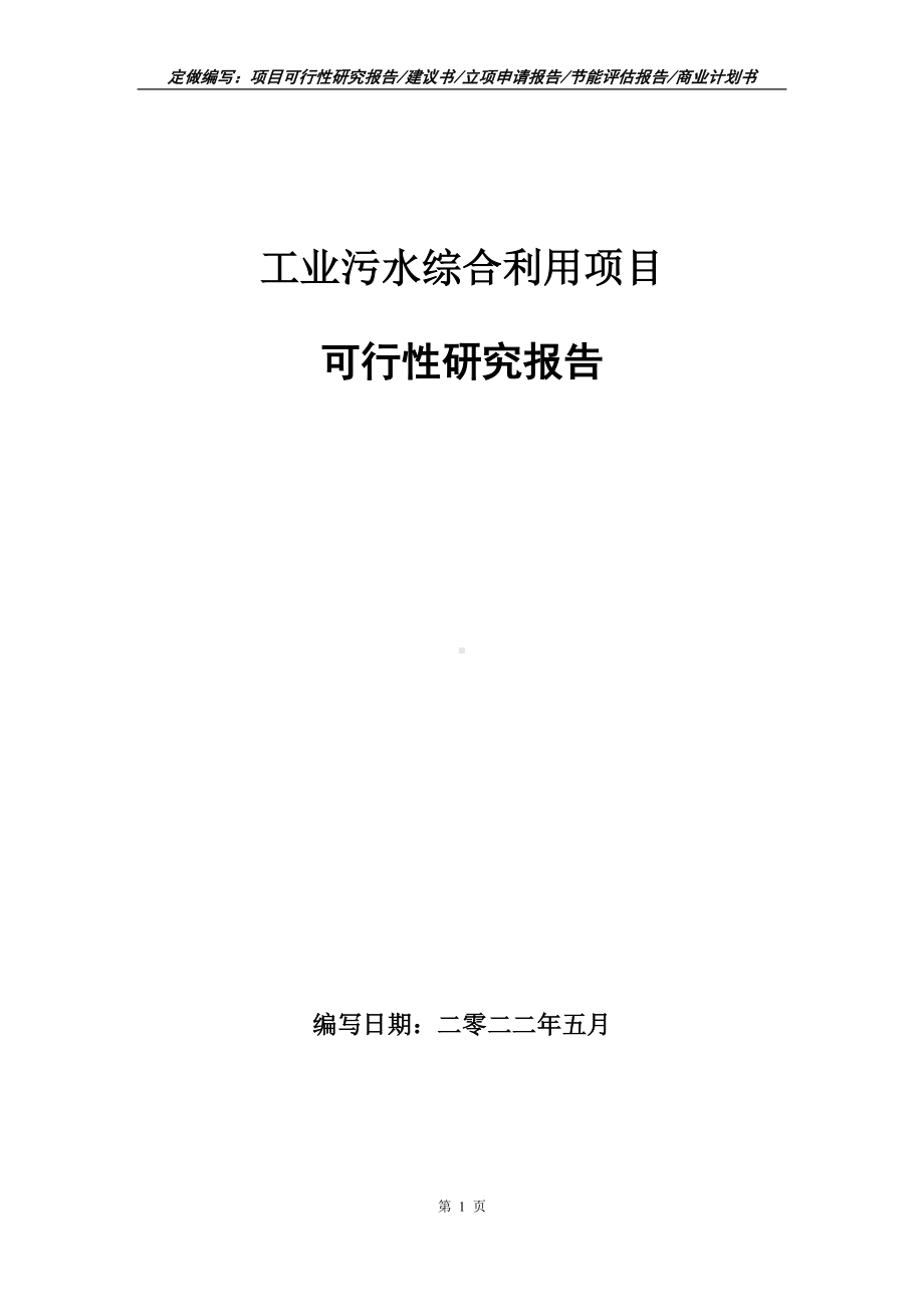 工业污水综合利用项目可行性报告（写作模板）.doc_第1页