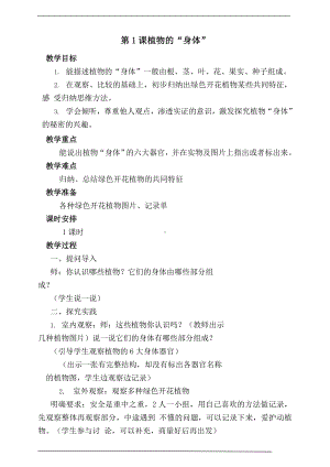 4.1 植物的身体 教案-2023新湘科版三年级下册《科学》.doc