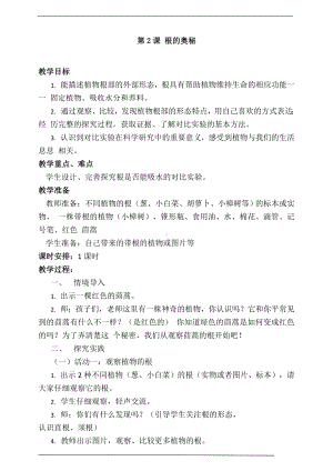 4.2 根的奥秘 教案-2023新湘科版三年级下册《科学》.doc