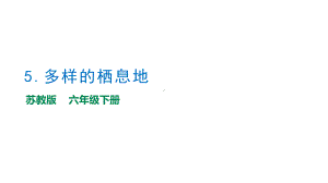 2.5《多样的栖息地》教学ppt课件-2023新苏教版六年级下册《科学》.pptx