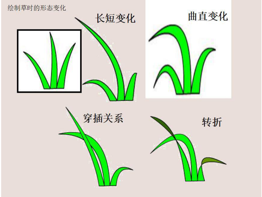 四年级上册美术课件-第五课 草丛中 ︳湘美版(共11张PPT).pptx_第2页