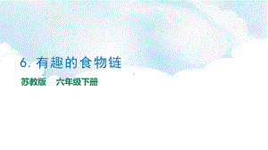 2.6《有趣的食物链》教学ppt课件-2023新苏教版六年级下册《科学》.pptx